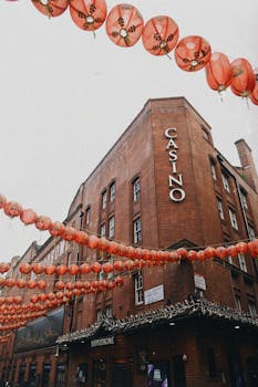 {loan-options-comparison}