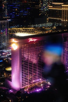 Katso Omat Luottotiedot Helposti Ja Ilmaiseksi: Ohjeet Ja Oikeudet