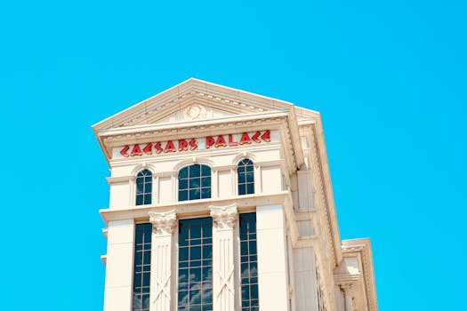 {asp-tilien_erp_pexels}