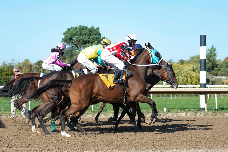 Verkkopankki Vedonlyönti Ja Kasinot: Turvalliset Ja Vaivattomat Rahansiirrot