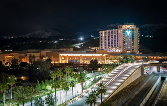 auto-management-tips